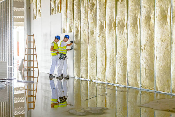 Best Eco-Friendly Insulation in Eastvale, CA
